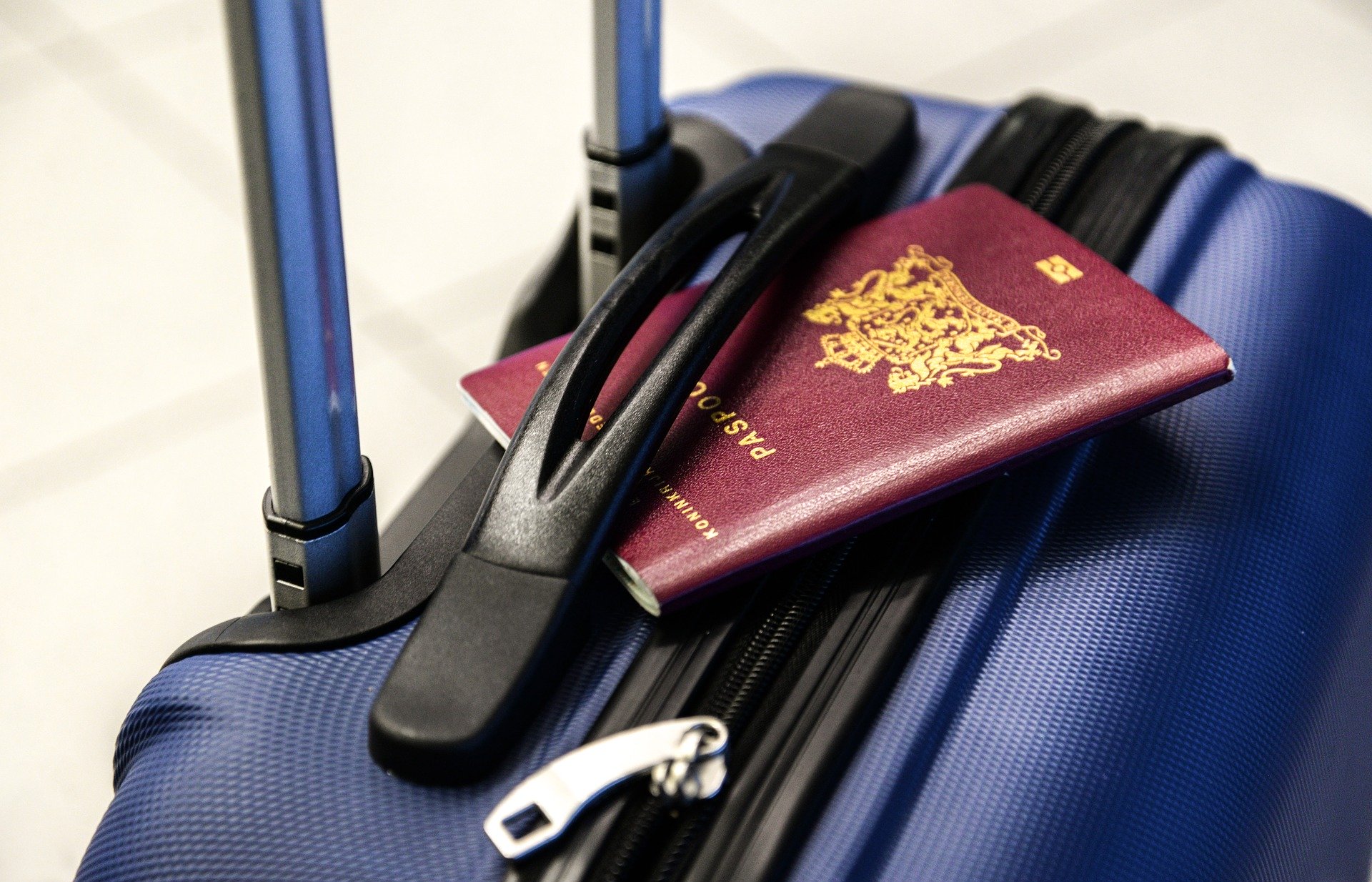Visa D for Bulgaria and Trade Representative Office